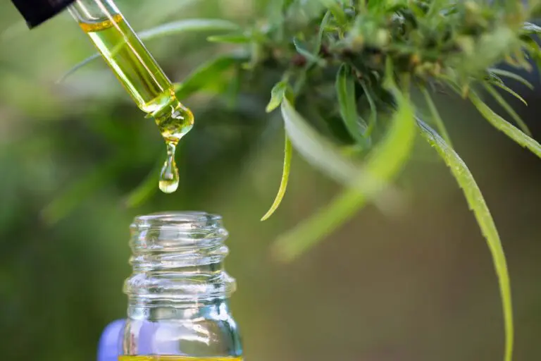 A pipette of cannabis oil is squeezed into a glass bottle with a green plant in the background.